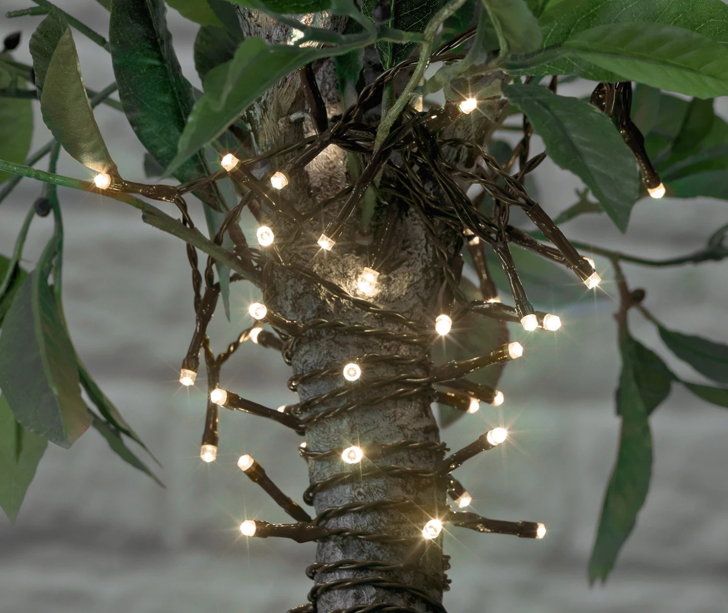 Garden By Sainsbury's 100 Warm White LED Solar String Lights Fairy Lights And String Lights 3 Garden By Sainsbury's 100 Warm White LED Solar String Lights Fairy Lights And String Lights