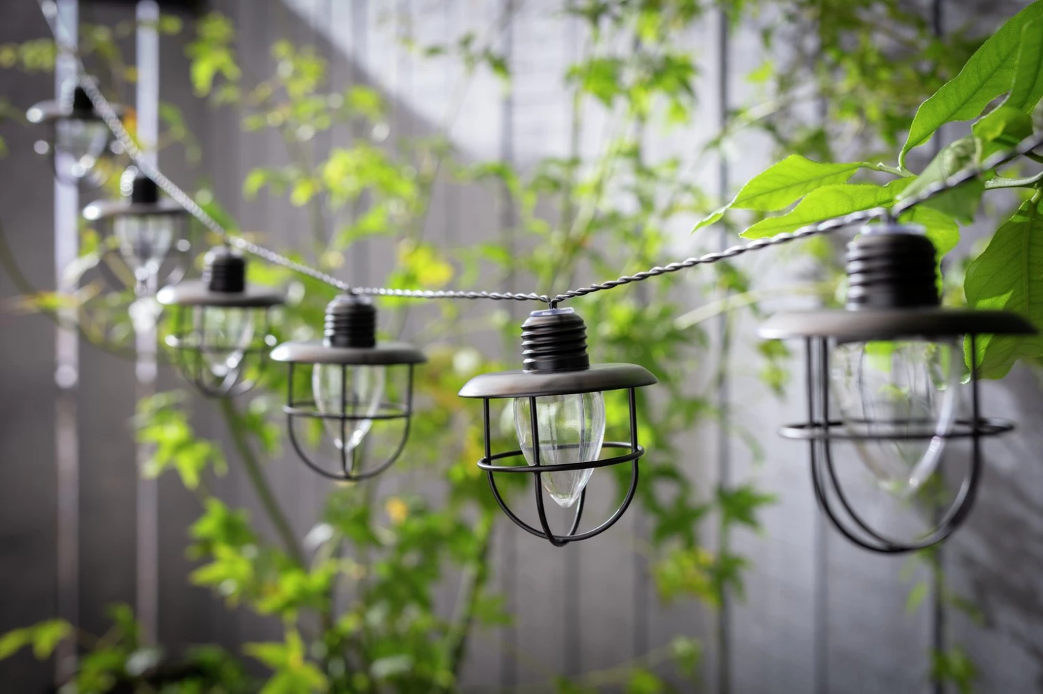 Habitat 10 Warm White Caged Bulb LED Solar String Lights Solar Lighting 3 Habitat 10 Warm White Caged Bulb LED Solar String Lights Solar Lighting