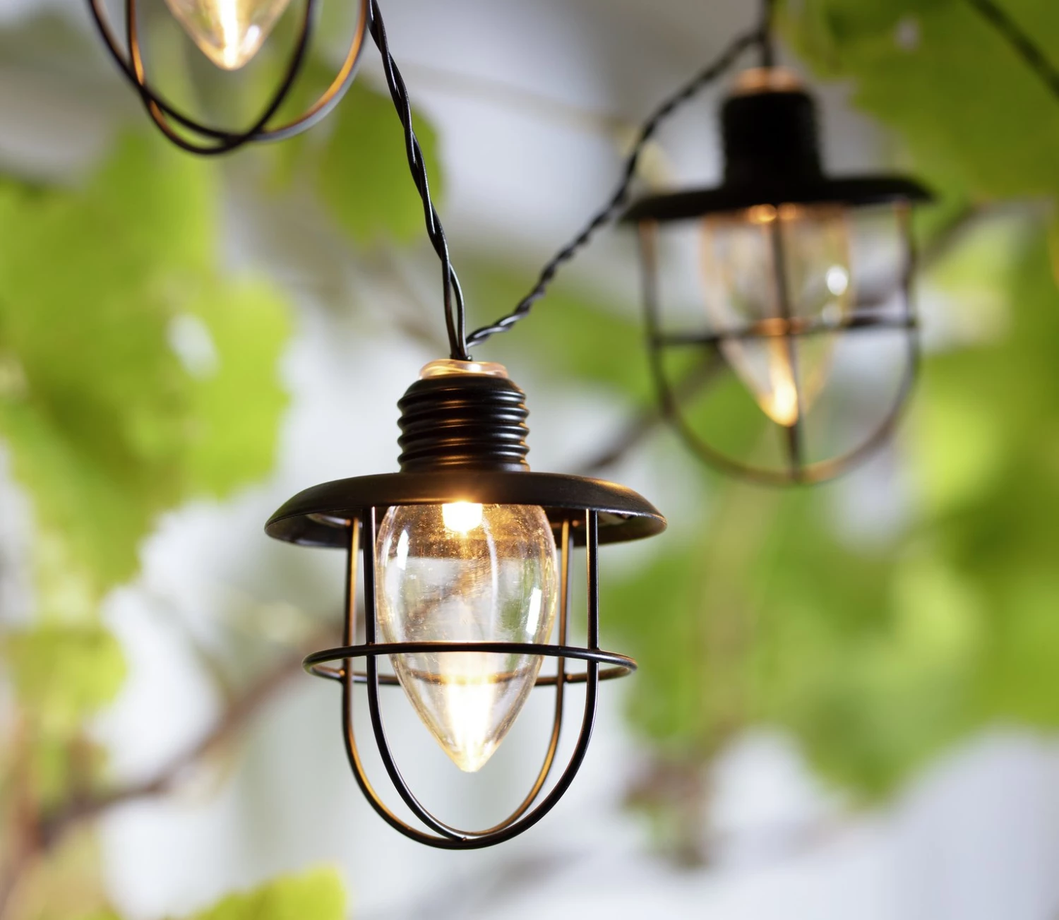 Habitat 10 Warm White Caged Bulb LED Solar String Lights Solar Lighting 8 Habitat 10 Warm White Caged Bulb LED Solar String Lights Solar Lighting - Image 6