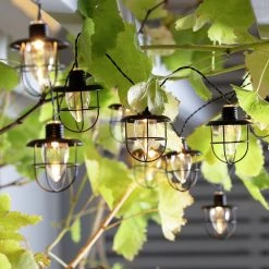 Habitat 10 Warm White Caged Bulb LED Solar String Lights Solar Lighting 16 Habitat 10 Warm White Caged Bulb LED Solar String Lights Solar Lighting -lighting Sales Shop unnamed file 1412
