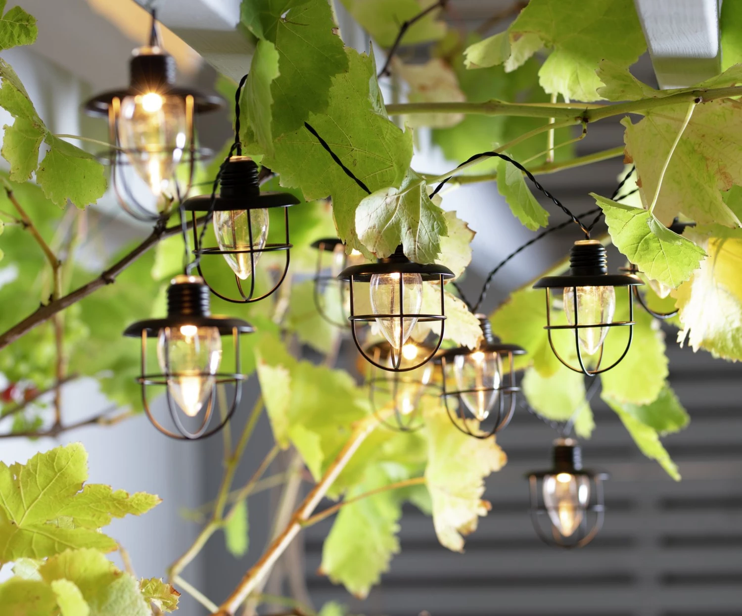 Habitat 10 Warm White Caged Bulb LED Solar String Lights Solar Lighting 9 Habitat 10 Warm White Caged Bulb LED Solar String Lights Solar Lighting - Image 7