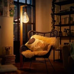 Philips LED Filament E27 6.5W (40W) Dim Giant Bulb Gold Light Bulbs 11 Philips LED Filament E27 6.5W (40W) Dim Giant Bulb Gold Light Bulbs -lighting Sales Shop unnamed file 2036