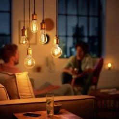 Philips LED Filament E27 6.5W (40W) Dim Giant Bulb + Cord Lighting -lighting Sales Shop unnamed file 2098