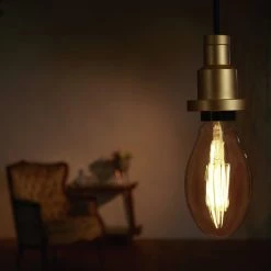 Osram Vintage 1906 Caged 4W LED Warm White Edison Bulb Lighting -lighting Sales Shop unnamed file 2121